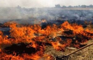 एसएमएस बिना चल रहे कम्बाइन हार्वेस्टर पर कार्रवाई, पराली जलाने पर हुआ जुर्माना