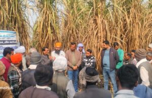 पद्मश्री डॉक्टर. बक्शी राम का क्षेत्र भ्रमण, किसानों को दिए महत्वपूर्ण सुझाव