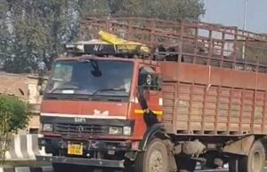 मृत बंदर का ग्रामीणों ने किया अंतिम संस्कार