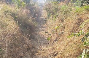 सिल्ट सफाई में अनियमितता को लेकर धरना प्रदर्शन करेंगे सकिपा कार्यकर्ता और किसान:मुन्ना लाल तिवारी