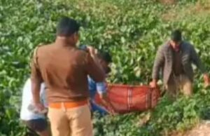 नौरंगाबाद कब्रिस्तान के पास तालाब में जलकुंभी में फंसा मिला लापता युवक का शव तालाब