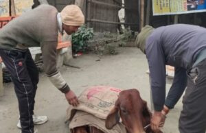 जानवरों का सेवा करने में जुटे हैं गुलशन