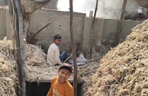 बिना रजिस्ट्रेशन बिना प्रदूषण एनओसी के नाबालिक श्रमिकों के भरोसे जिले में चल रहे सैकड़ो कोल्हू