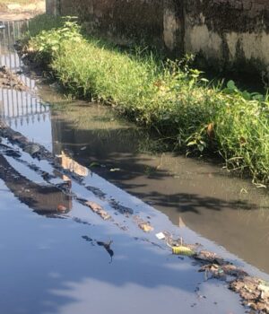 पशु चिकित्सालय मितौली के सामने जलभराव गंदगी, प्रांगण में बंजारा बस्ती के लोग गंदगी फेंकते जिसकी कोई सुध नहीं लेना वाला