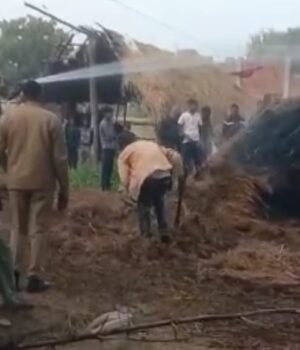 अज्ञात कारणों से लगी आग तीन बीघे का पुआल जलकर हुआ राख