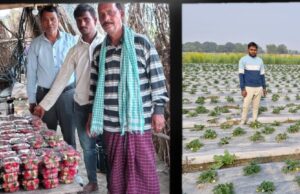 मुख्यमंत्री योगी आदित्यनाथ के नेतृत्व में एकीकृत बागवानी मिशन से बदली अमेठी के किसान की किस्मत