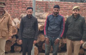 बिना परमिट ले जाई जा रही 195 बोटा सागौन की लकड़ी बरामद, ट्रैक्टर-ट्रॉली सीज़, अभियुक्त गिरफ्तार