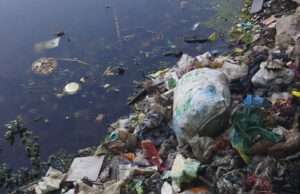 दुर्दशा, गंदगी और बदबू की मार: आतिया तालाब बना प्रशासनिक उपेक्षा की जिंदा मिसाल