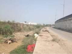 गौहनिया ओवरब्रिज के नीचे फेंके जा रहे मृत मवेशी के शव को सड़क किनारे फेंके जाने से दुर्गंध से राहगीर ग्रामीण परेशान! उपजिलाधिकारी को सौंपा ज्ञापन।