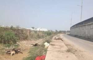 गौहनिया ओवरब्रिज के नीचे फेंके जा रहे मृत मवेशी के शव को सड़क किनारे फेंके जाने से दुर्गंध से राहगीर ग्रामीण परेशान! उपजिलाधिकारी को सौंपा ज्ञापन।