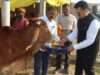 महाशिवरात्रि पर गो-आश्रय स्थलों में नंदी पूजन, डीएम ने किया गोवंश का पूजन-अर्चन’