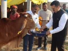 महाशिवरात्रि पर गो-आश्रय स्थलों में नंदी पूजन, डीएम ने किया गोवंश का पूजन-अर्चन’