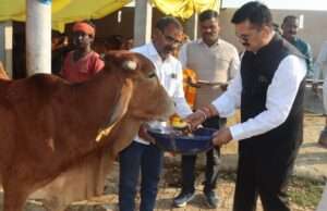 महाशिवरात्रि पर गो-आश्रय स्थलों में नंदी पूजन, डीएम ने किया गोवंश का पूजन-अर्चन’