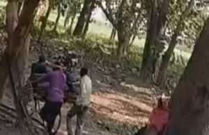 अवैध लकड़ी कटान दुधवा जगल में जारी वन माफियाओं के हौसले बुलंद