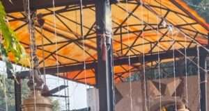 महाशिवरात्रि के पावन पर्व पर शिव के जय घोष से गूंज उठा टेढ़े नाथ बाबा का प्रांगण