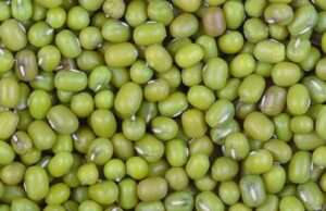 तेलियानी में ब्लॉक स्तरीय कृषि निवेश मेला, किसानों को बांटी गई मूंग बीज मिनीकिट