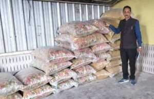 होली से पहले खाद्य सुरक्षा विभाग ने 600 किलो रंगीन कचरी व 71 किलो सरसों तेल किया जब्त