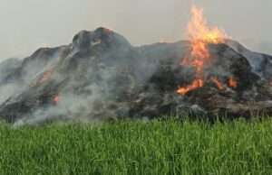 अज्ञात कारणों से खेत में रखे पुआल के ढेर में लगी आग, 8 बीघे का पुआल जल कर राख