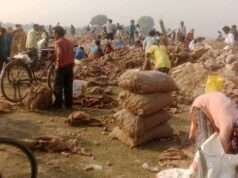 प्रयागराज: कोल्ड स्टोरेज हादसे के बाद मलबे में आलू लूटने की होड़