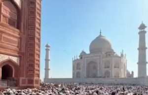 बिजली के खंभे में उतरे करंट की चपेट में आकर गाय की हुई मौत