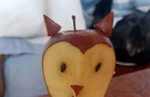 नक्काशी प्रतियोगिता में मदरसा बाजे अशबाह के विद्यार्थियों ने दिखाई कला