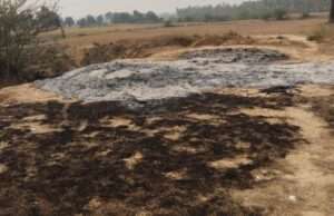 खलिहान में लगी आग आठ बिघे की सरसों का फसल खाक