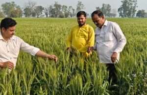 गेहूं की बायोफोर्टिफाइड प्रजाति डीबीडब्ल्यू-371 के क्लस्टर प्रदर्शन का किया गया भ्रमण