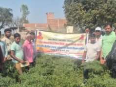 एकीकृत बागवानी मिशन के तहत कृषकों को उत्पादन, प्रसंस्करण व विपणन का प्रशिक्षण