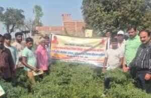 एकीकृत बागवानी मिशन के तहत कृषकों को उत्पादन, प्रसंस्करण व विपणन का प्रशिक्षण