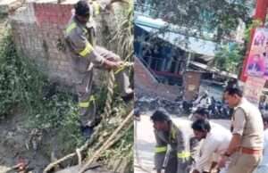 कांधरपुर नहर के दलदल में फंसे सांड को पुलिस और ग्रामीणों ने सुरक्षित निकाला