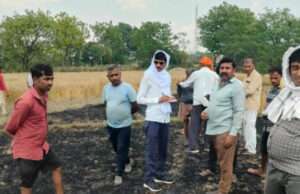 शॉर्ट सर्किट से लगी आग, चार किसानों की ढाई बीघा गेहूं की फसल जलकर खाक