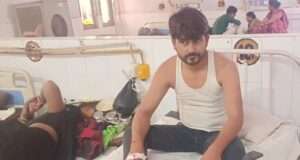 मधुमक्खियों के हमले में बुजुर्ग की मौत, युवक गंभीर रूप से घायल