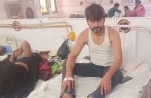 मधुमक्खियों के हमले में बुजुर्ग की मौत, युवक गंभीर रूप से घायल