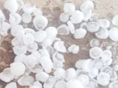 ओलावृष्टि से लोगों में भय खीरी