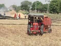 धान की नर्सरी के लिए कचरा जलाने से खलिहान में लगी आग, पुआल जलकर राख