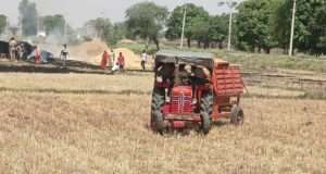 धान की नर्सरी के लिए कचरा जलाने से खलिहान में लगी आग, पुआल जलकर राख