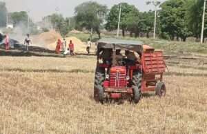 धान की नर्सरी के लिए कचरा जलाने से खलिहान में लगी आग, पुआल जलकर राख
