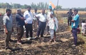 शार्टसर्किट से आगजनी में गेहूं की फसल राख
