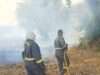 संदिग्ध दशा में लगी आग से 50 बीघे के करीब पराली जलकर हुई राख