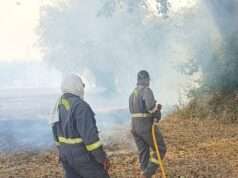 संदिग्ध दशा में लगी आग से 50 बीघे के करीब पराली जलकर हुई राख