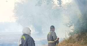 संदिग्ध दशा में लगी आग से 50 बीघे के करीब पराली जलकर हुई राख