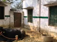 विद्यालय में अतिक्रमण को लेकर सीएम पोर्टल पर दर्ज करायी शिकायत