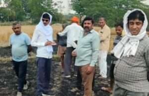 शॉर्ट सर्किट से लगी आग, चार किसानों की ढाई बीघा गेहूं की फसल जलकर खाक