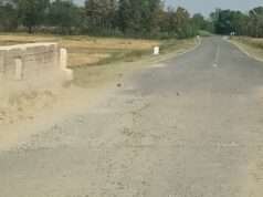 बॉर्डर डेवलपमेंट सड़क पर धनौरा बुजुर्ग के पास जर्जर पुल, कभी भी हो सकता है बड़ा हादसा