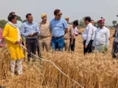 तेजतर्रार बल्लेबाजी के साथ दोस्ती की जीत, इलेक्ट्रॉनिक मीडिया का जलवा