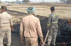 आगजनी से फसल जलकर हुई राख