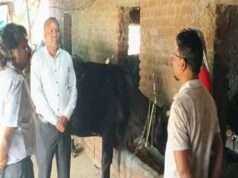 पशुओं में नस्ल सुधार का कार्य बेहतर ढंग से करें: प्रमुख सचिव उमराव