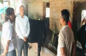 पशुओं में नस्ल सुधार का कार्य बेहतर ढंग से करें: प्रमुख सचिव उमराव