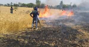 किसान कि 12 बिगहा गेहूं कि फसल जलकर हुए खाक