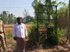 बाघ के हमले में गाय घायल संपूर्णानगर रेंज में वन विभाग ने किया निरीक्षण